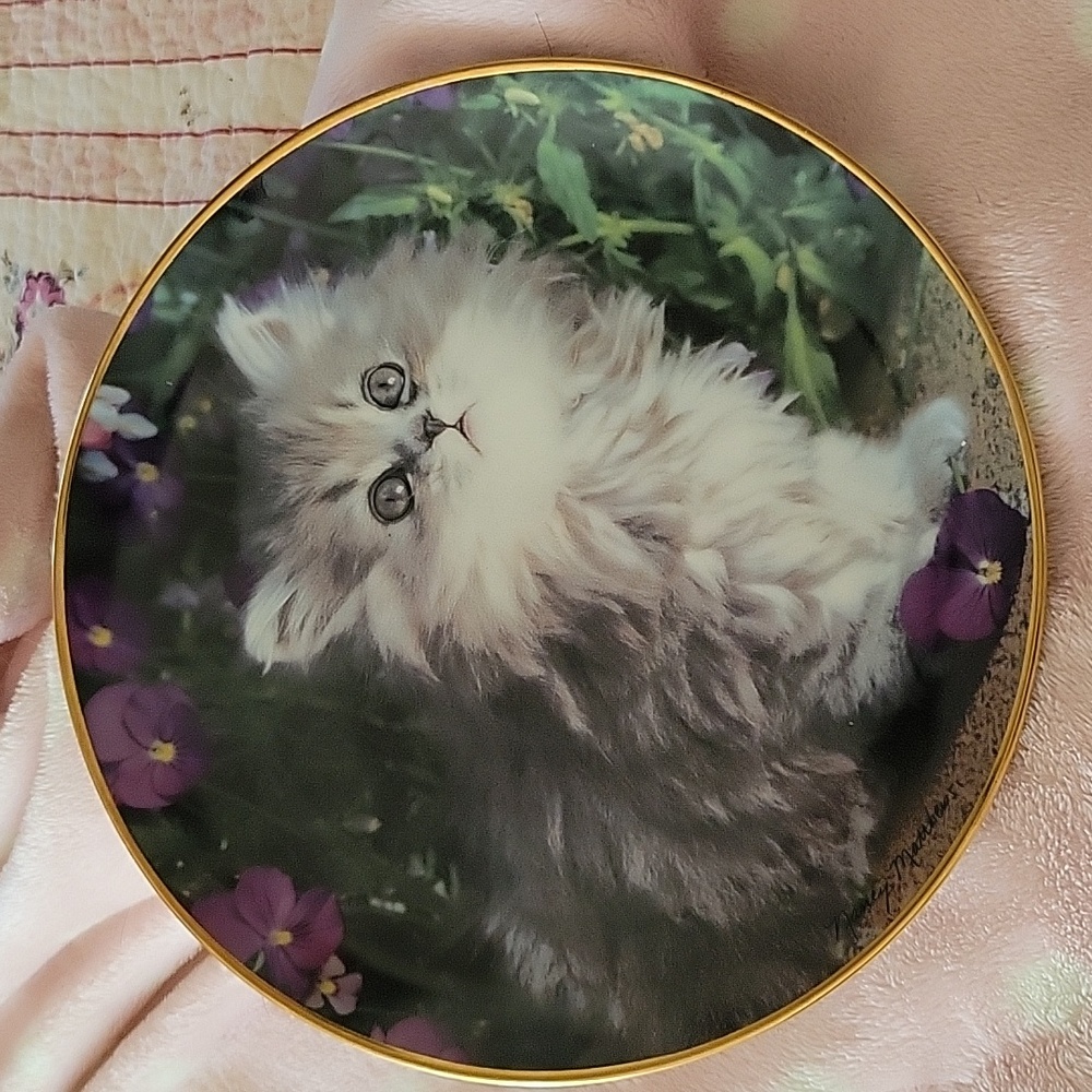FRANKLIN MINT heirloom Purrfection plate. 8" New condition.